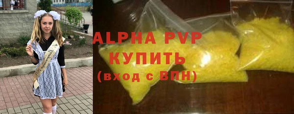 стаф Дмитриев