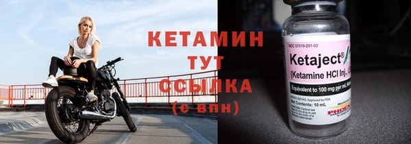 стаф Дмитриев