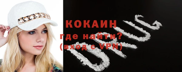 гидра Елизово