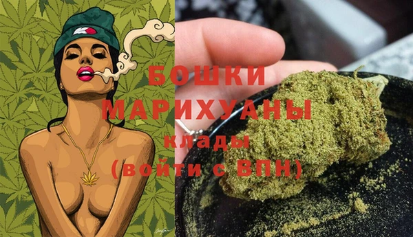 стаф Дмитриев