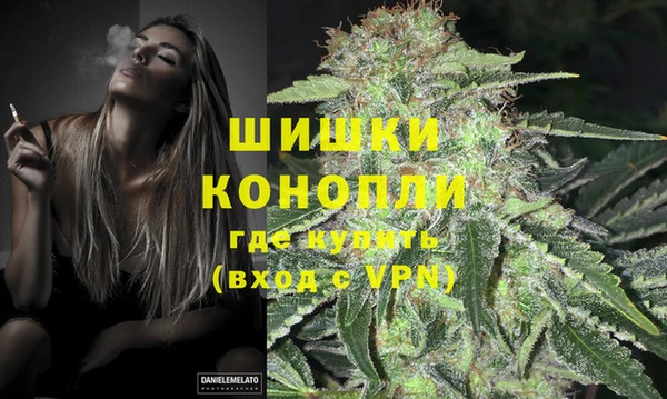 ПСИЛОЦИБИНОВЫЕ ГРИБЫ Дмитров
