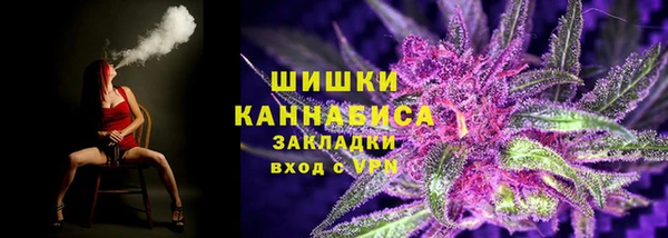 стаф Дмитриев