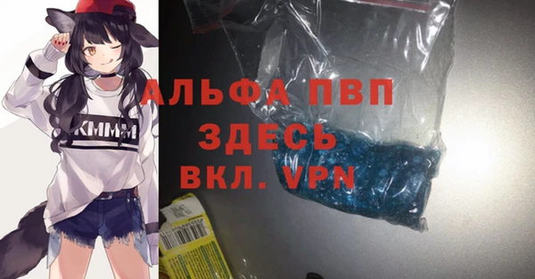 стаф Дмитриев